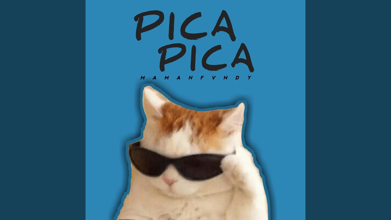 Pica Pica (Remix)