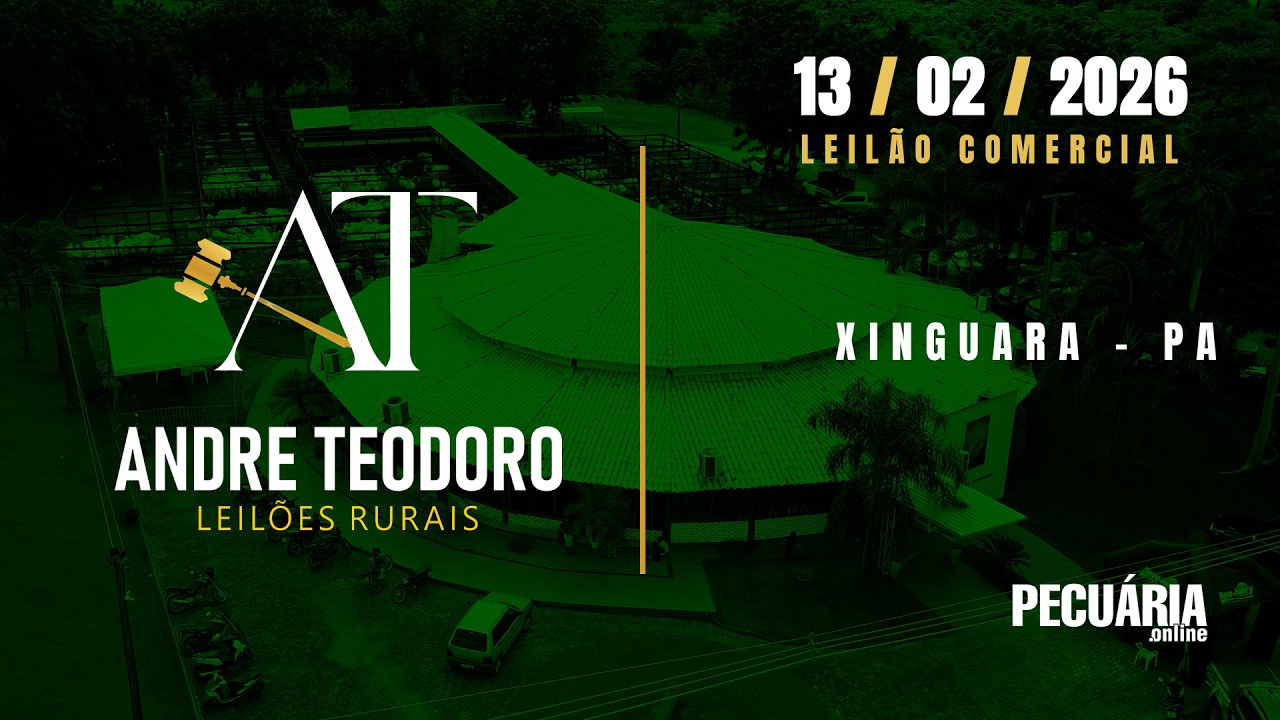 Leilão Comercial - André Teodoro Leilões Rurais - 13/02/2026 - Xinguara/PA