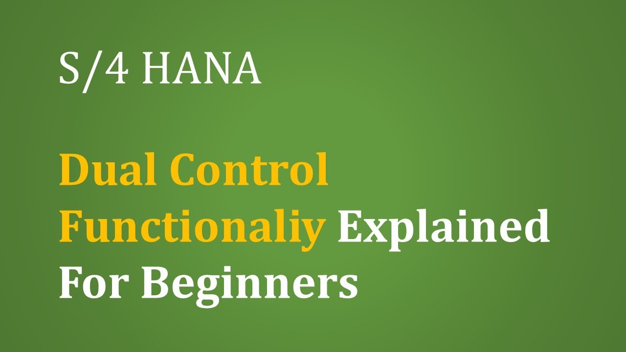 SAP FICO Dual Control Functionality