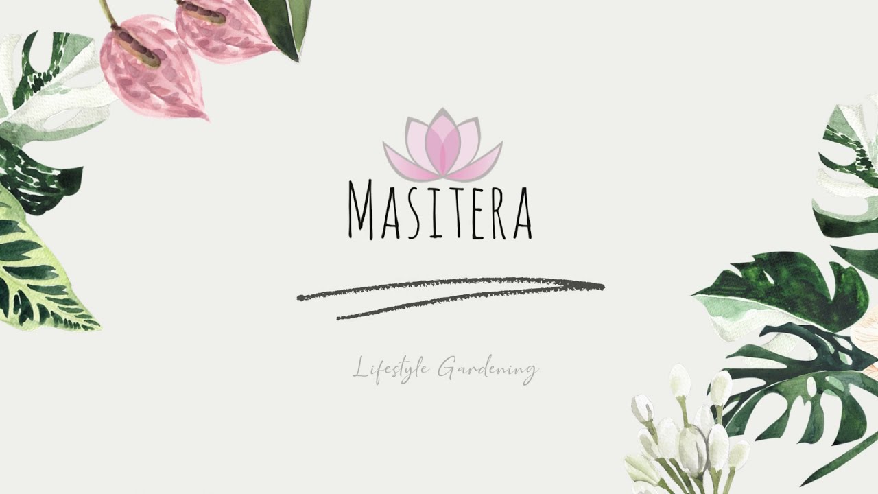 Masitera Lifestyle Gardening! Premiere Video