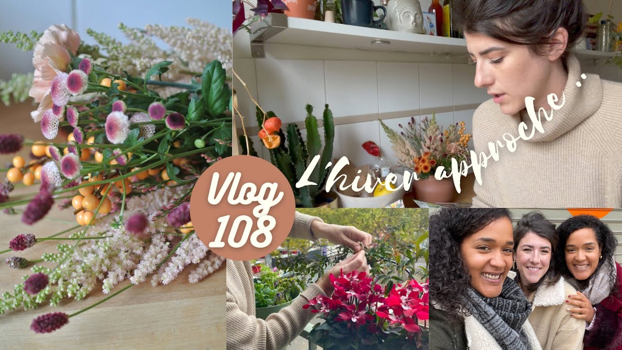 VLOG 108 - Haul, Jardinage, Tri dans la déco Noël & déjeuner avec @IsadoraetMarisa