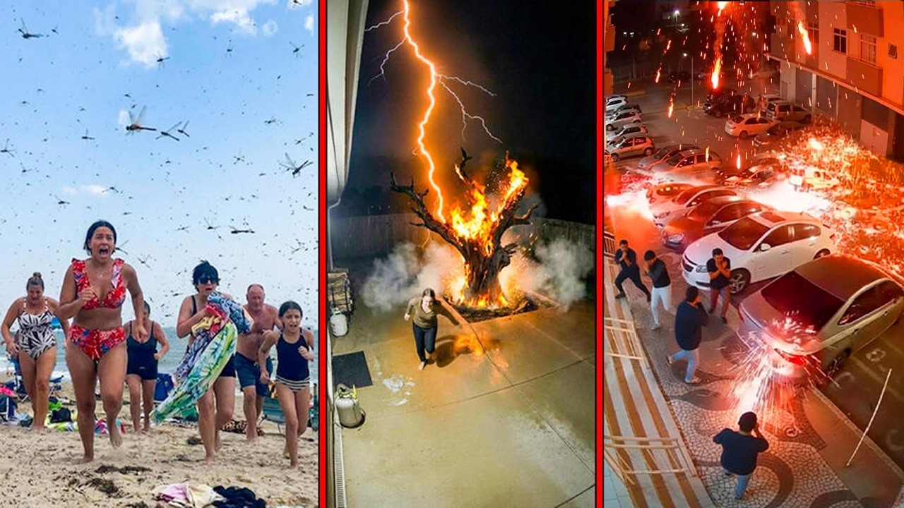 Странные вещи происходят прямо сейчас по всему миру | Один из миллиарда моментов в природе