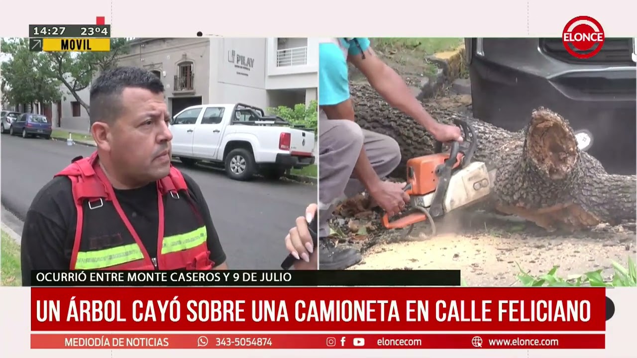 Un árbol cayó sobre una camioneta en calle Feliciano - Elonce
