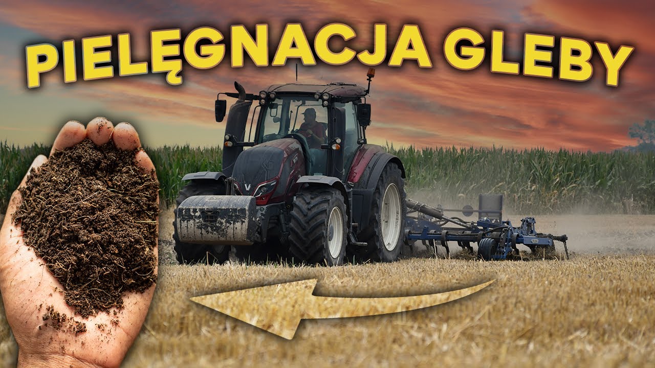 Pielęgnacja gleby: proste kroki, realny efekt...