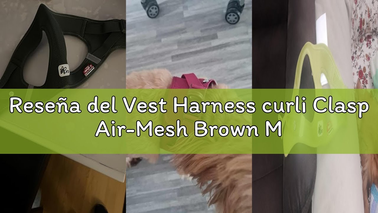 Reseña del Vest Harness curli Clasp Air-Mesh Brown M