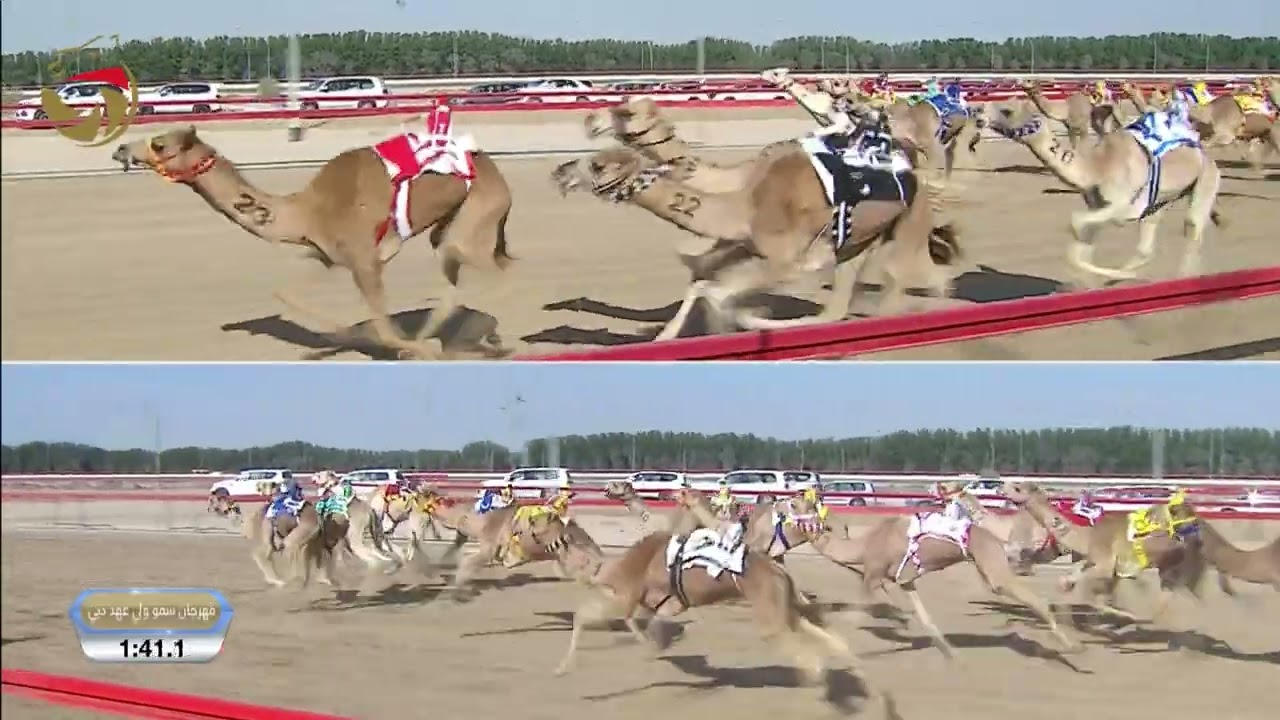 مهرجان ولي عهد دبي - حقاقة للقبائل 17-1-2026 ش6 البسام لـ سعيد محمد مبارك الخيلي 5:49:1