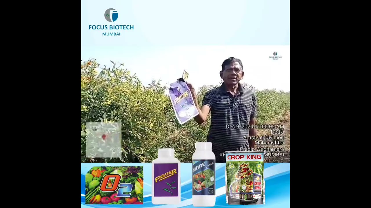 Farmer Vijay Gondane Maharahtra Using Focus Biotech Product O2,Fighter,More,Cropking for 