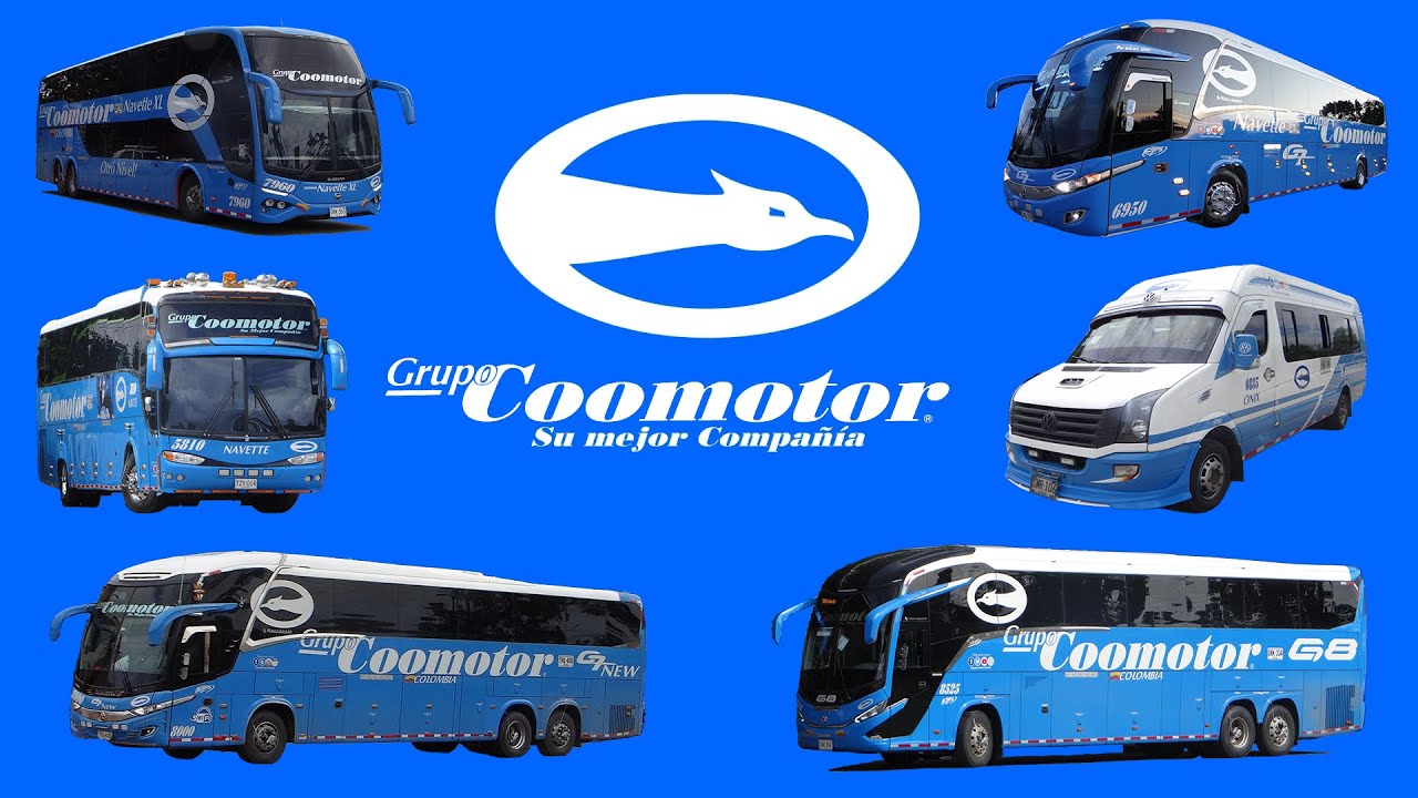 Buses Grupo Coomotor 2024