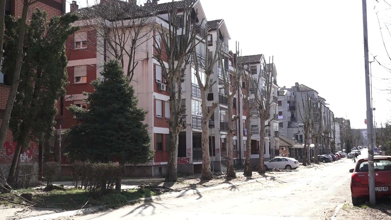 Uređenje drvoreda i parkova u opštini Stara Pazova