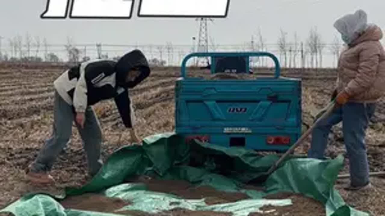 今天风太大了～嗷嗷的吹的脑瓜仁子疼～我的农村生活 记录真实生活 回村的生活