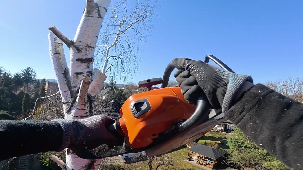 POV: Tree Cutting from 21m Lift | Chainsaw Work at Height