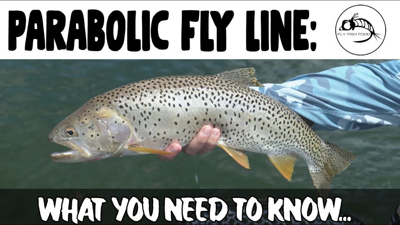 How to fish a parabolic (Sweep) sinking fly line