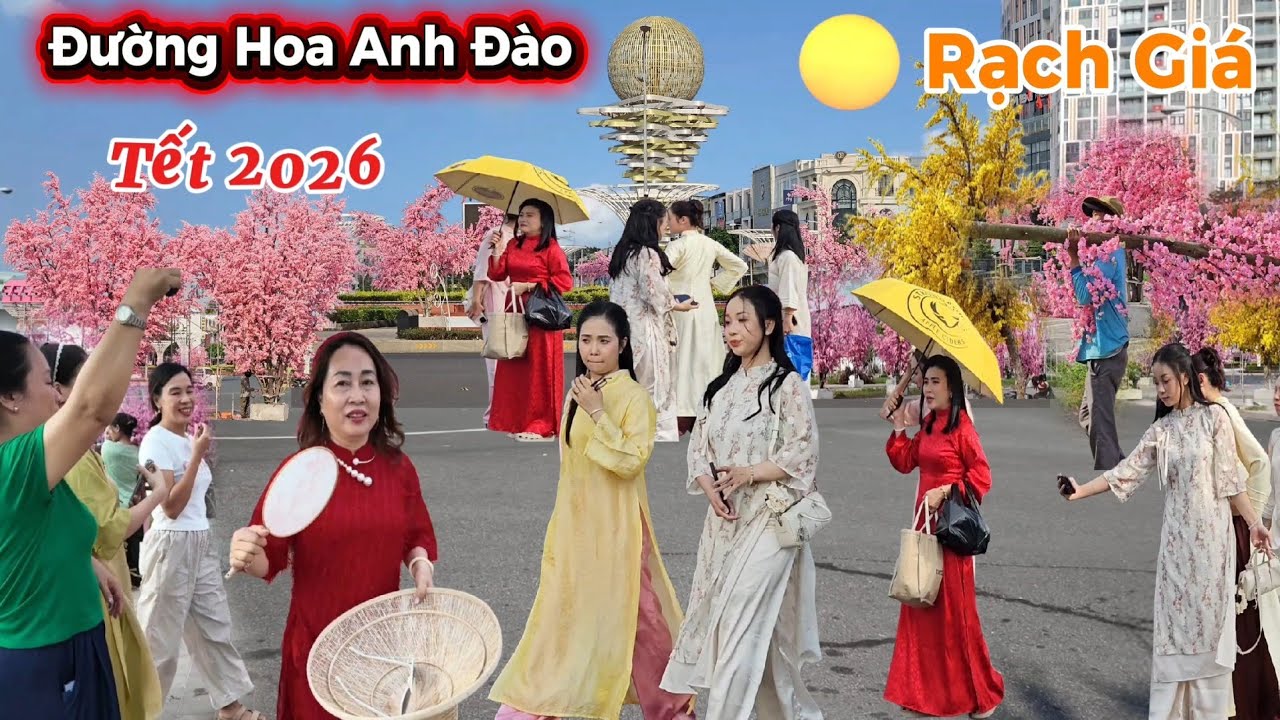 Chấn Động Rạch Giá, Thiên Đường Hoa Anh Đào Lớn Nhất từ trước đến nay Tết 2026
