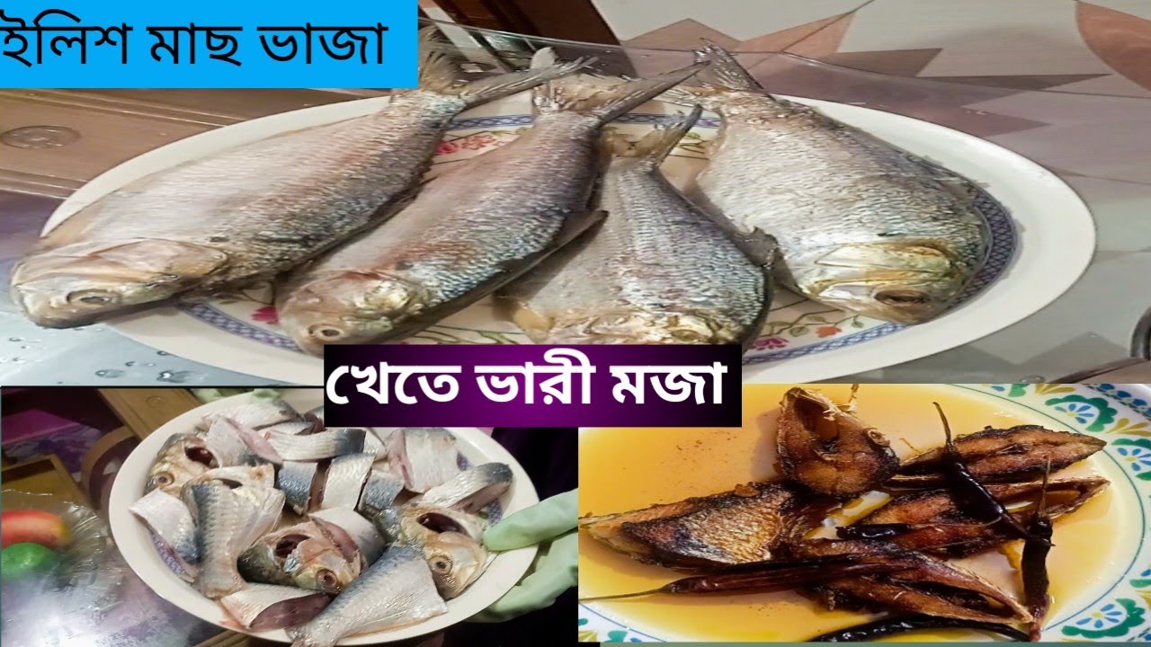 রাতে আপনাদের ভাইয়া মাছ নিয়ে এলো ইলিশ মাছ 