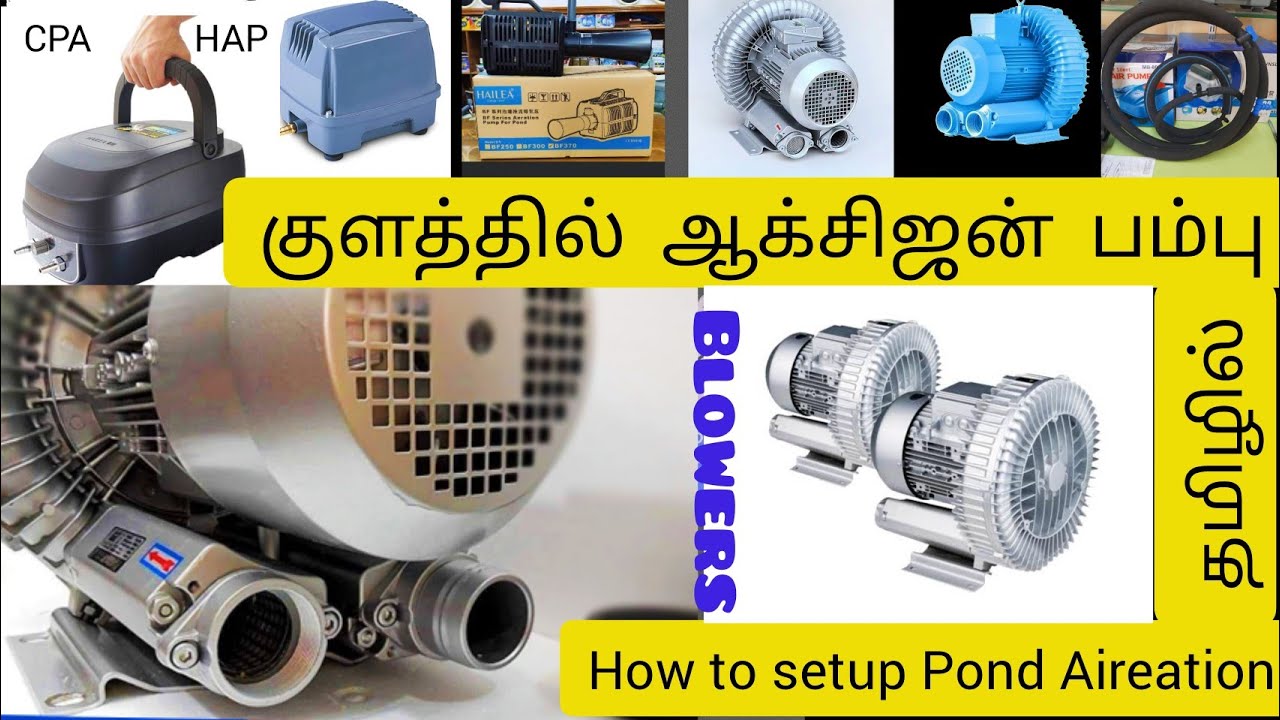 குளத்தில் ஆக்ஸிஜன் அதிகரிப்பு || Pond Aireation || MAJ BIOFLOC || Air Pump || Ring Blower