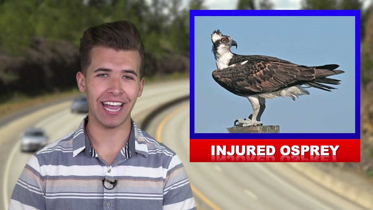 6-2-20 North Idaho Update | North Idaho News with John Webb