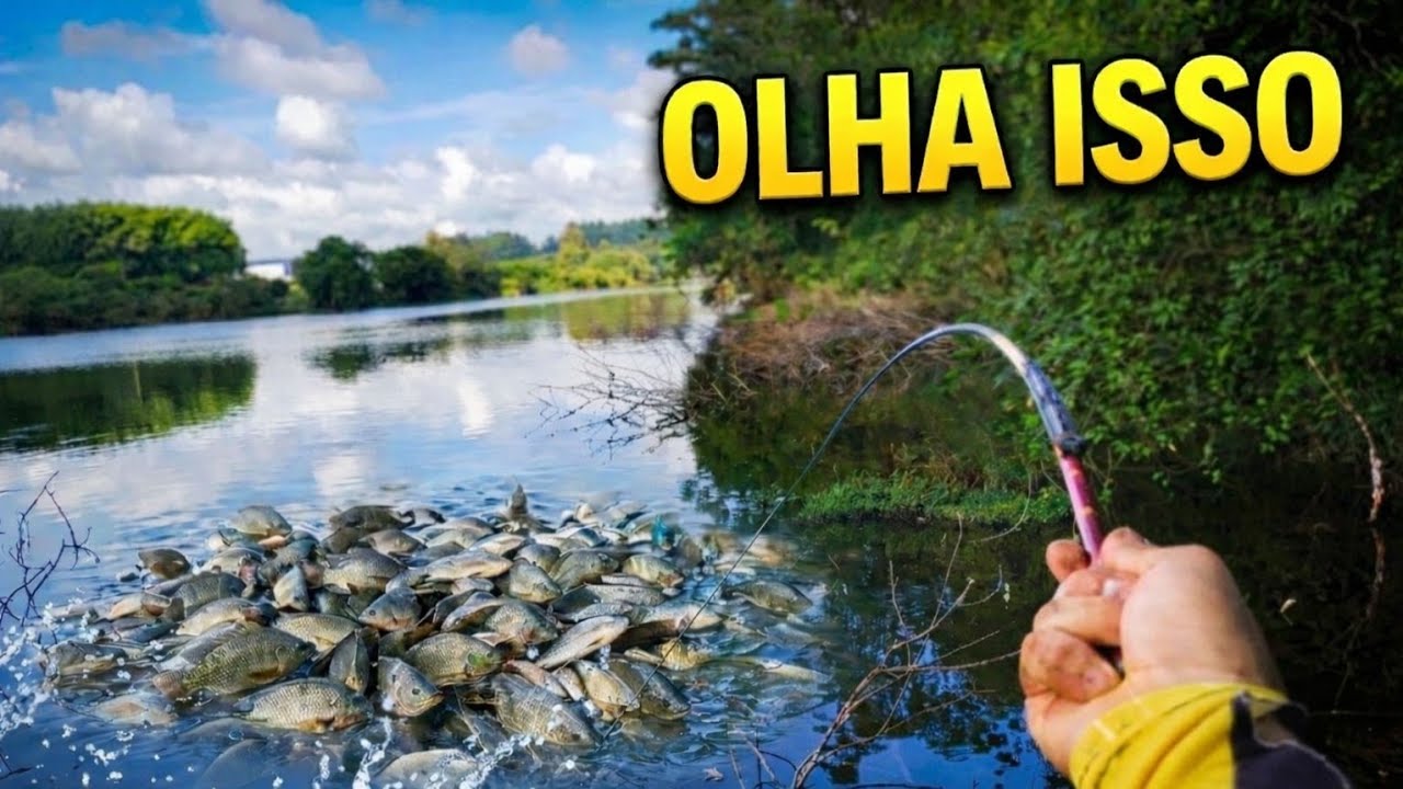 Fui pescar após a Piracema e não acreditei 