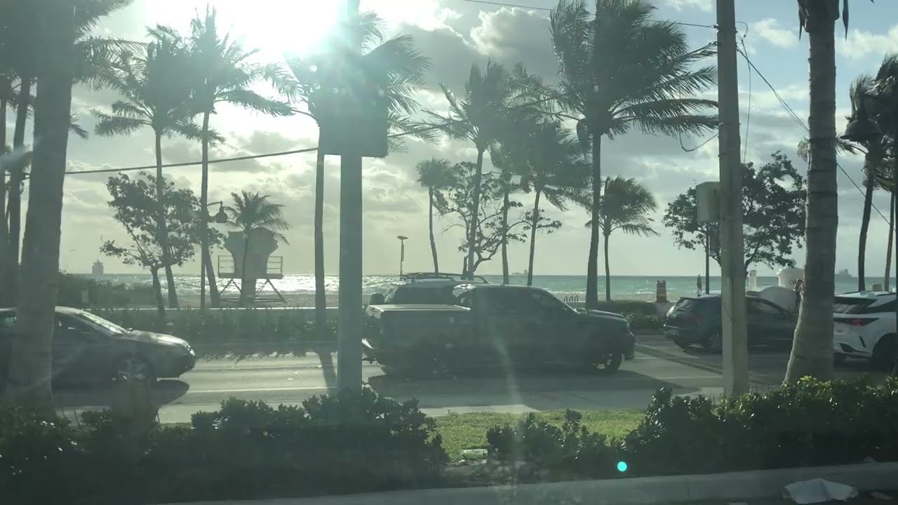 Port Everglades RCL Liberty Of The Seas Cruise Shuttle & Port Miami MSC Divina Cruise Ship Shuttle