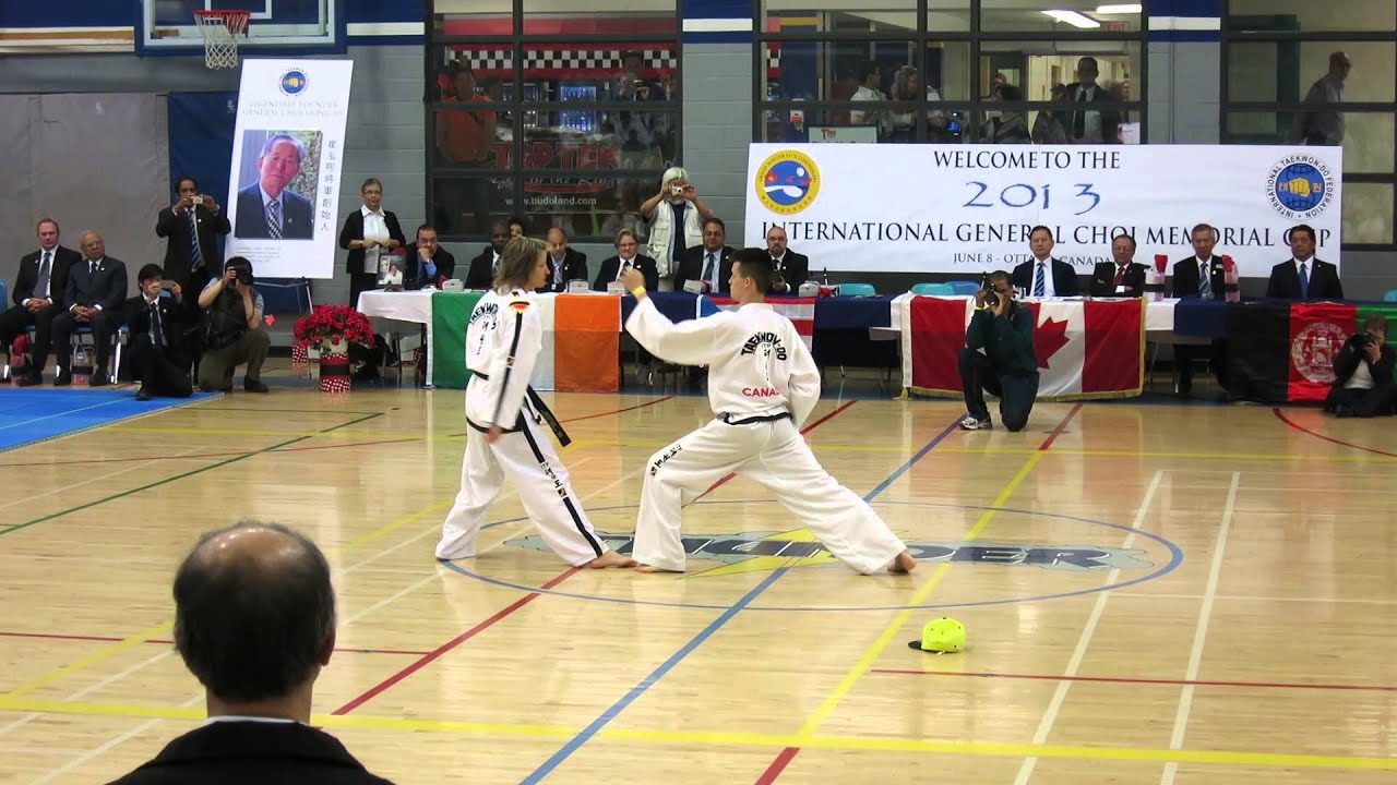 Lu's Taekwon-Do Demo