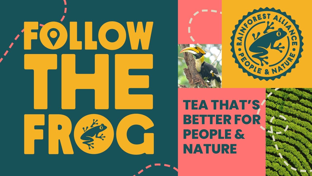 Celebrating the Wildlife of Assam&rsquo;s Tea Estates