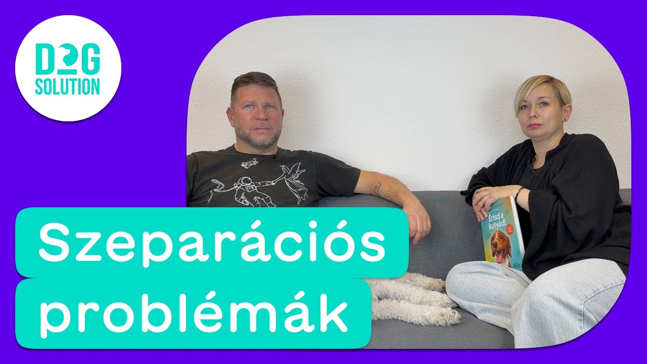 Dog Solution 05 - Szeparációs problémák