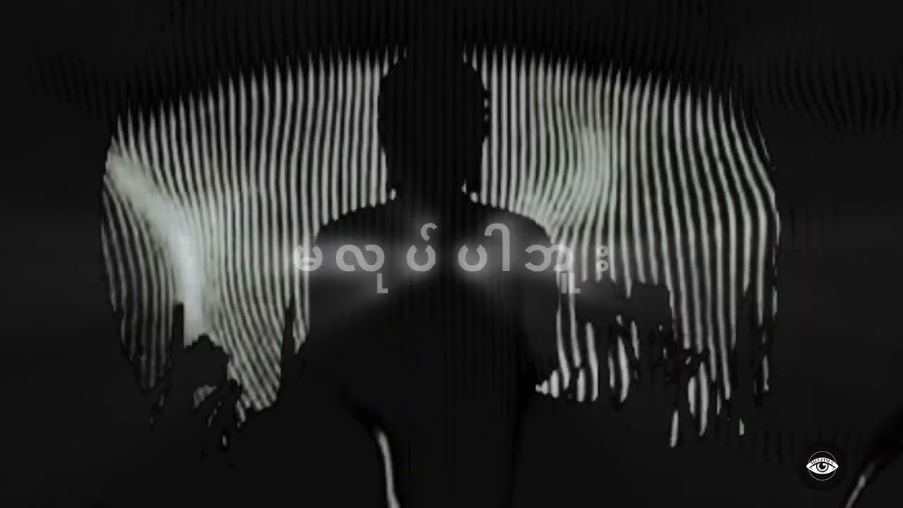 ပစ္စုပ္ပန်(Black and White Visualizer )
