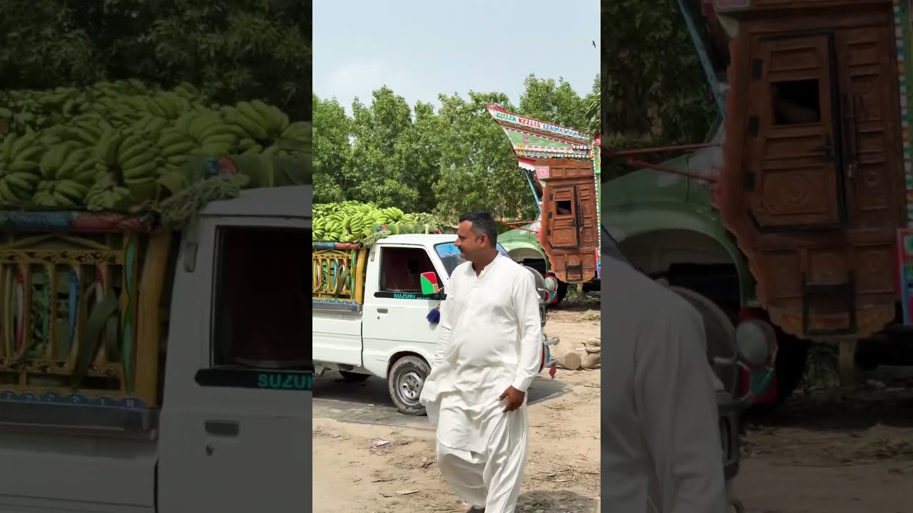 Banana Market Tando Allahyar