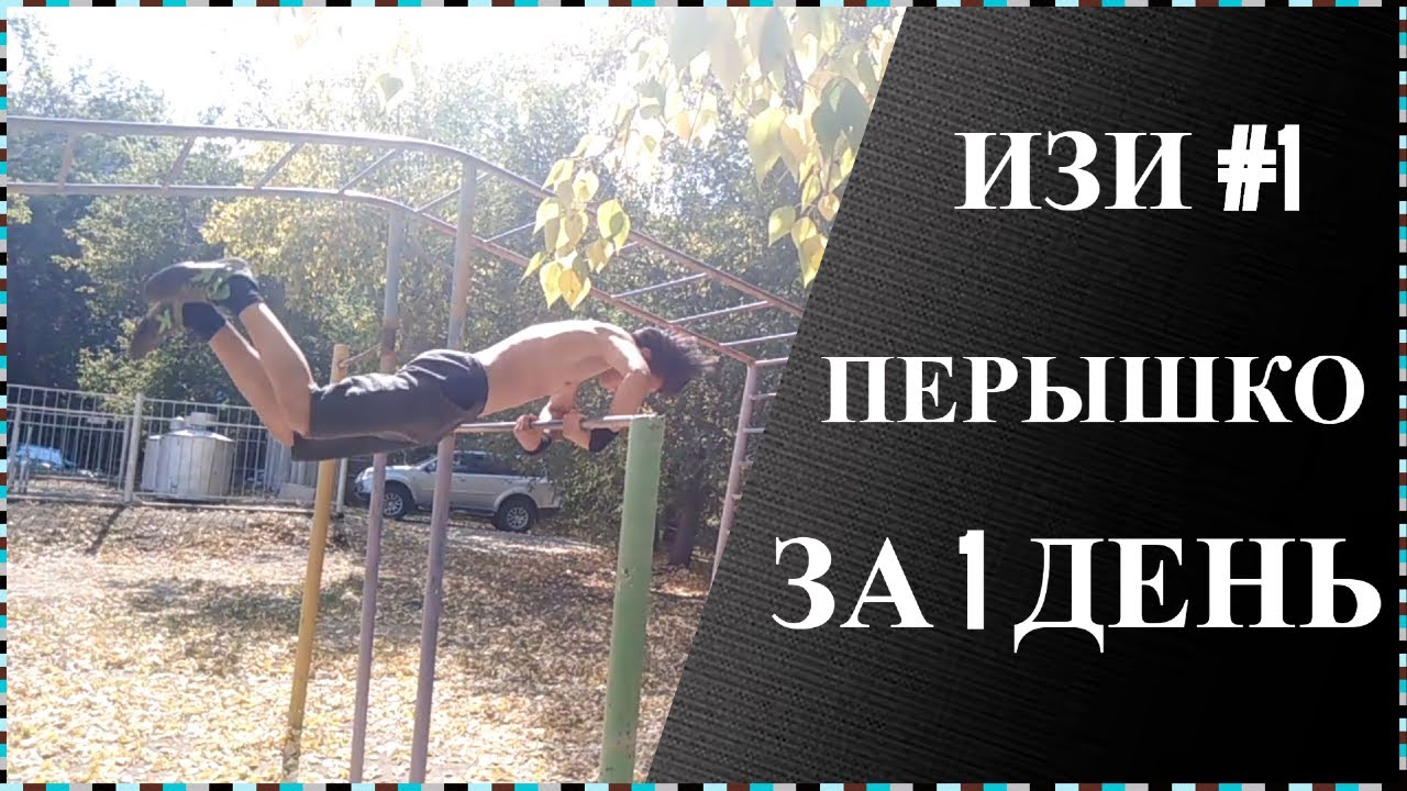 ПЕРЫШКО ЗА 1 ДЕНЬ! ЛЕГКО! ИЗИ #1