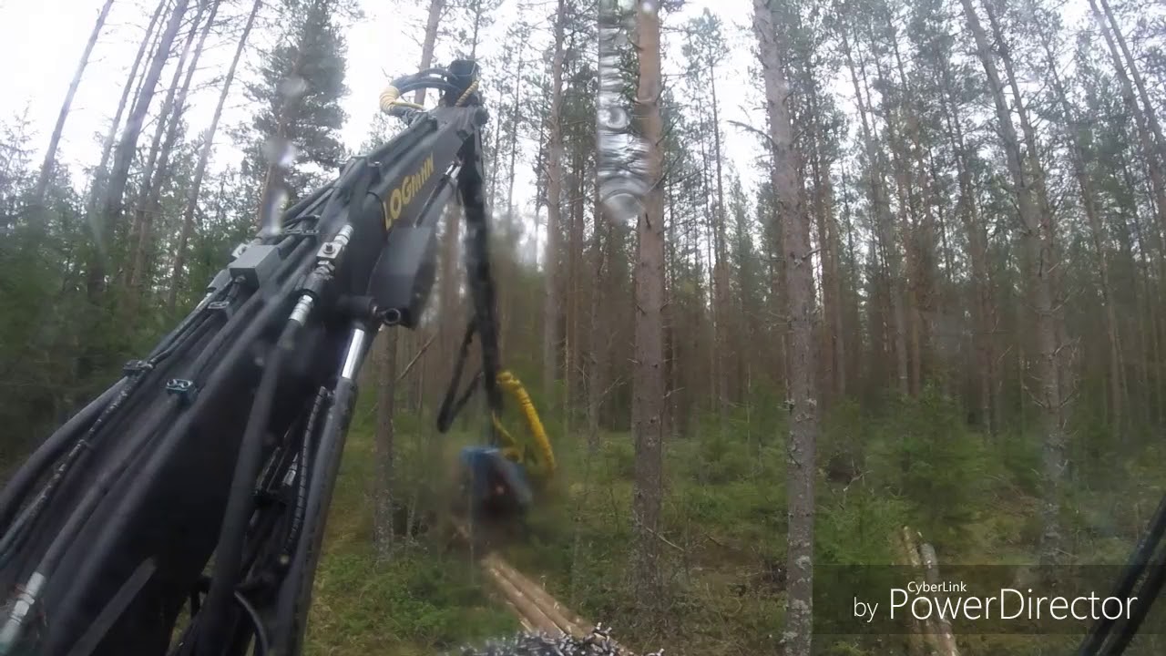 Logman 801/keto 100