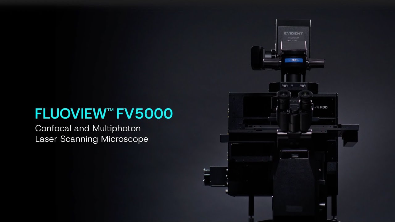 FLUOVIEW™ FV5000 Confocal and Multiphoton Laser Scanning Microscope