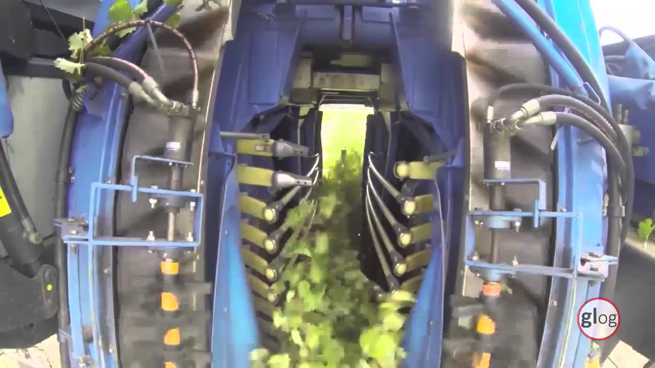 Grape Logistics Harvesting for Vintage 2015