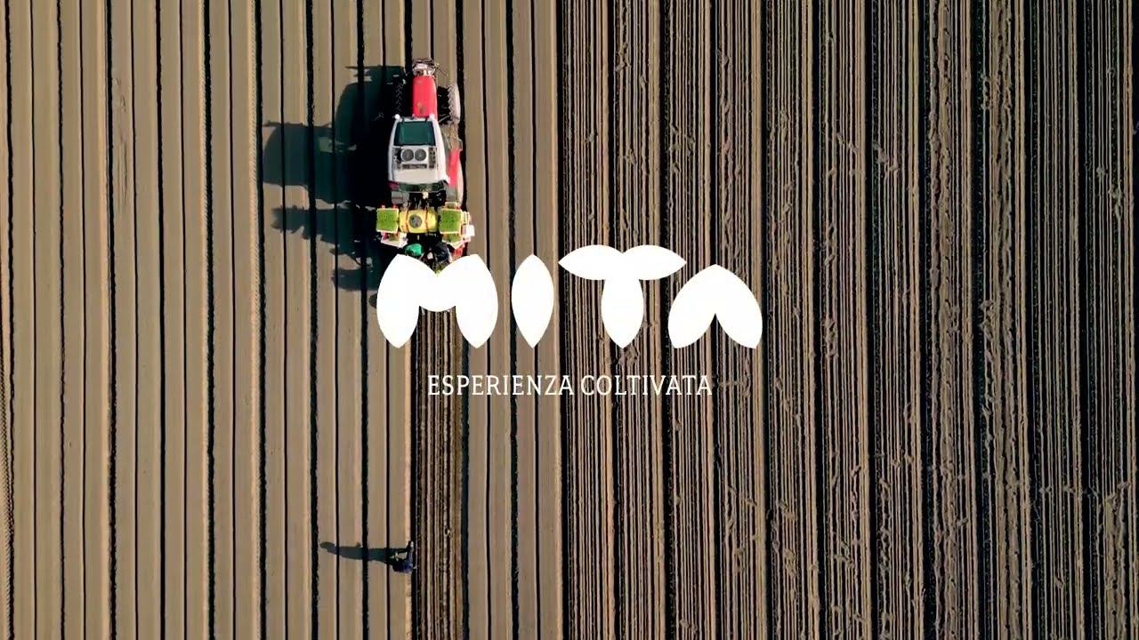 MITA | esperienza coltivata