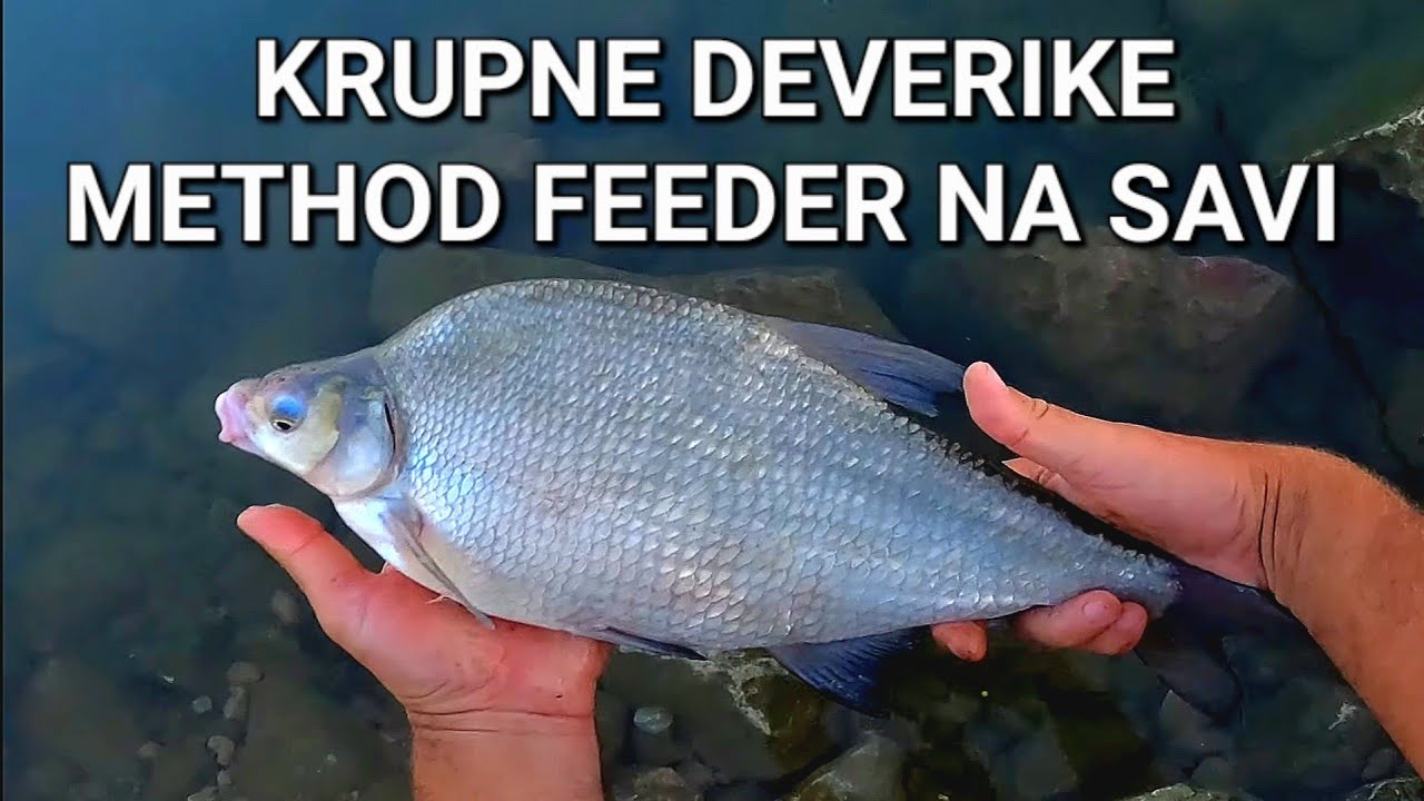 METHOD NA SAVI I KRUPNE DEVERIKE