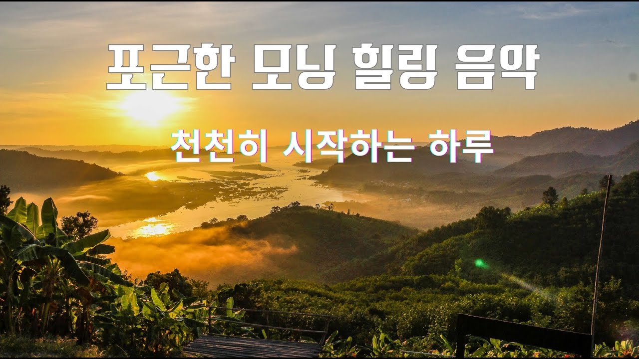 🌿바쁘지 않아도 괜찮은 아침입니다음악과 함께 천천히 시작해요