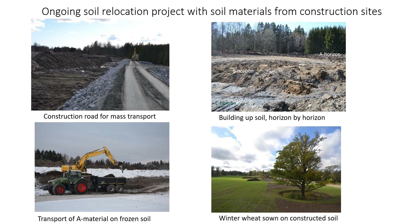 Assessing and Mitigating the Impacts of Road Projects on Soil &ndash; The RoadSoil Project