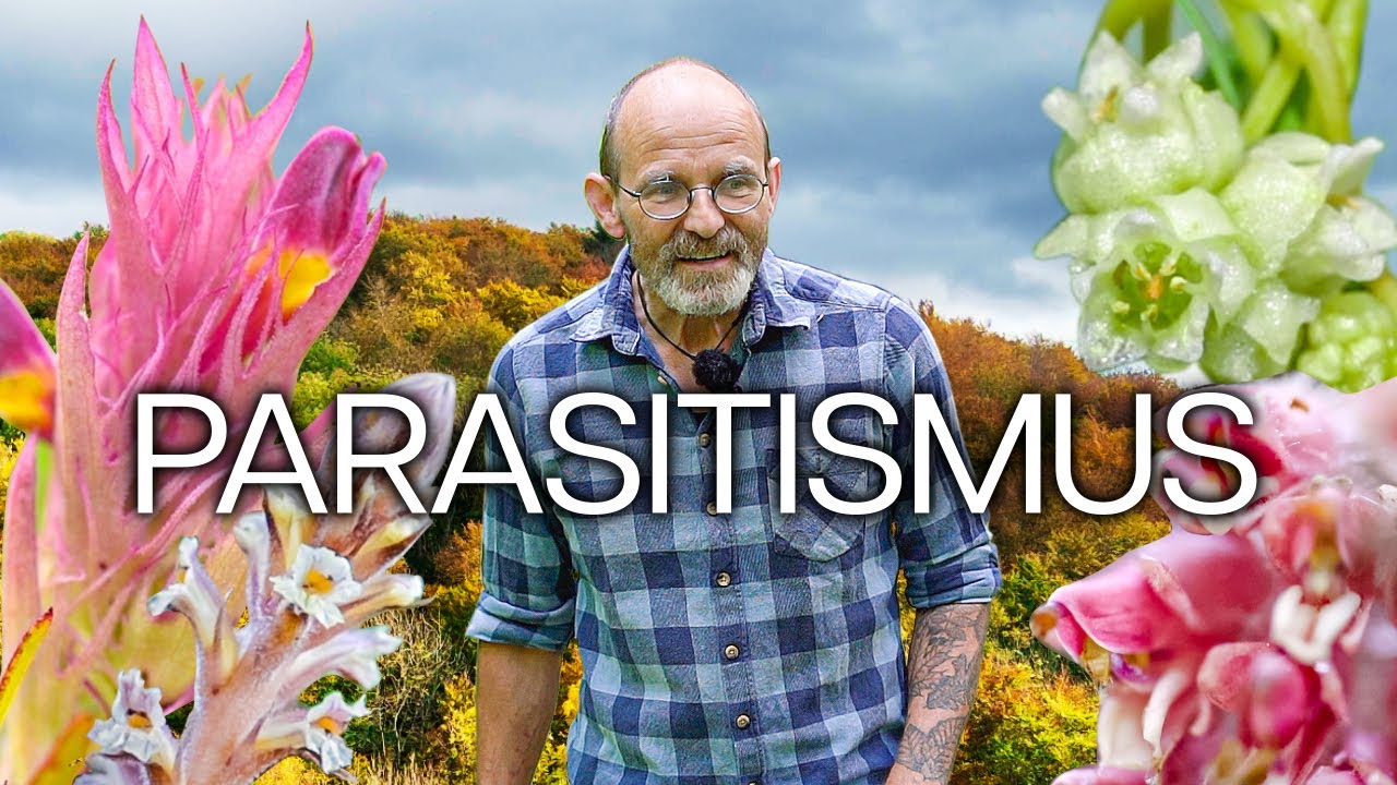 PARASITISMUS | Die Kunst des Lebens auf Kosten Anderer
