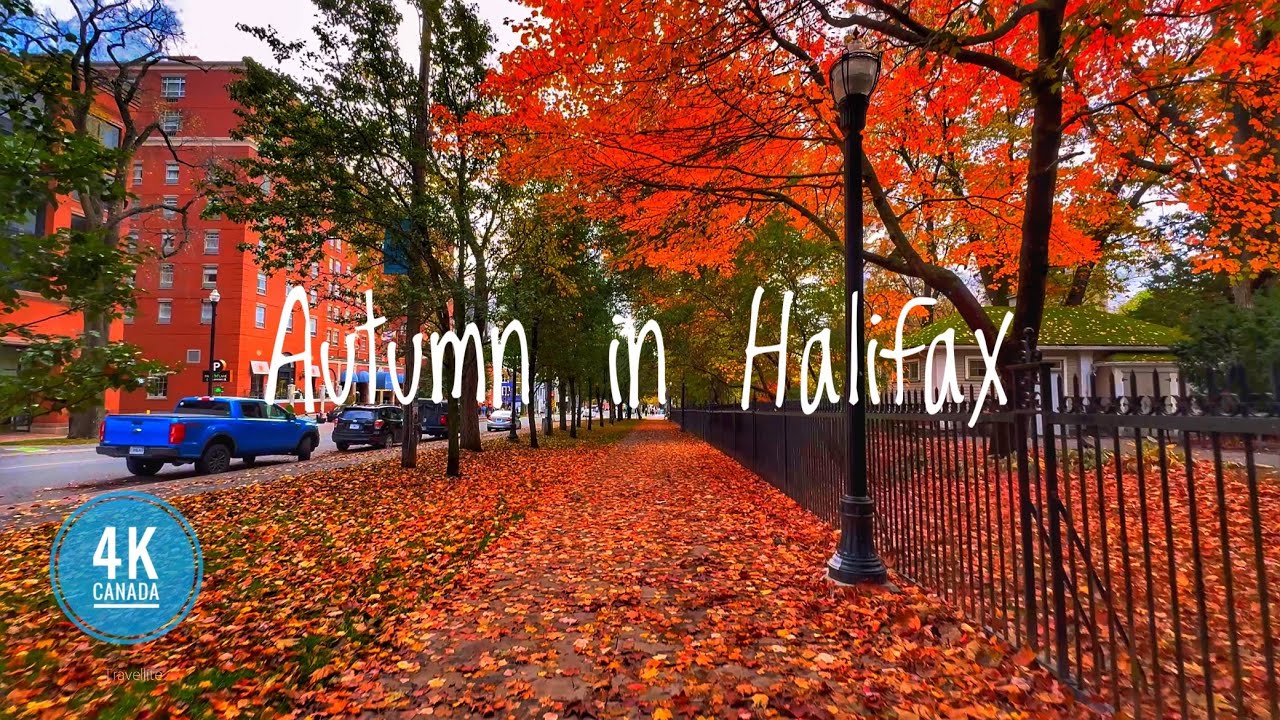 Autumn🍂 Walk in Halifax NS. Canada🇨🇦 | Spectacular Fall foliage | Immersive Audio | October 2025
