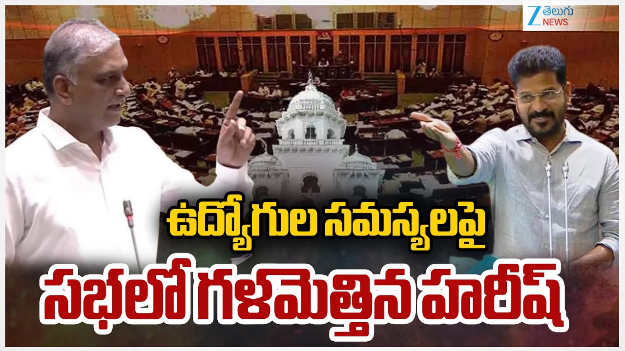 Harish Rao Speech On employee Issues | ఉద్యోగుల సమస్యలపై  సభలో గళమెత్తిన హరీష్‌ | ZEE