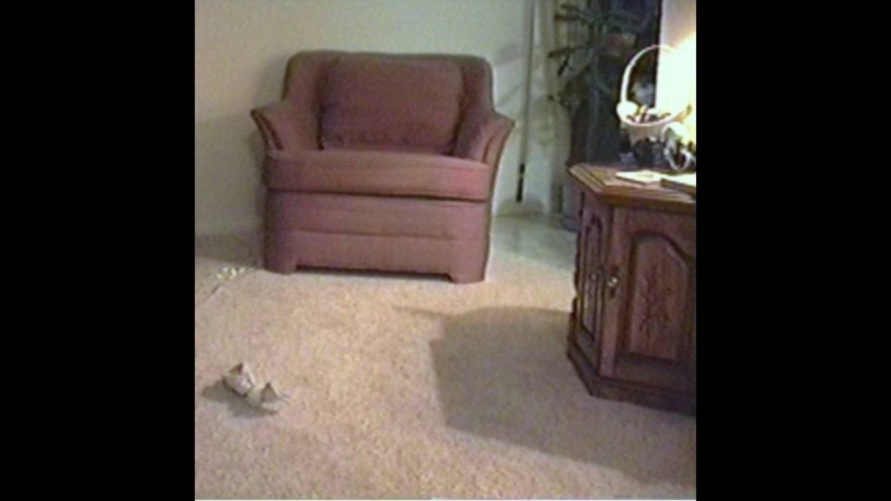 surrenderdorothy - suddenlyeverywordmadesense