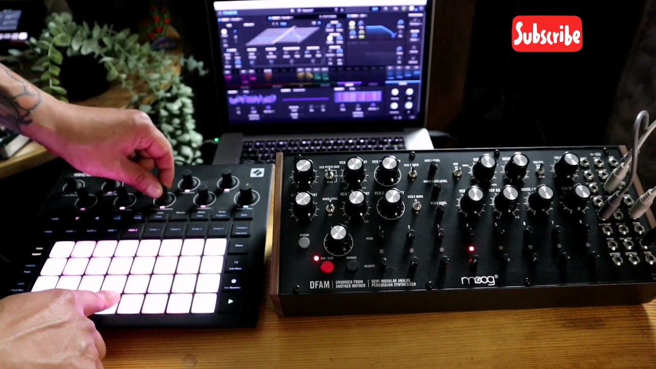 Warning ⚠️ Novation circuit tracks | Pigments 3 | Moog Dfam | Live setup ideas