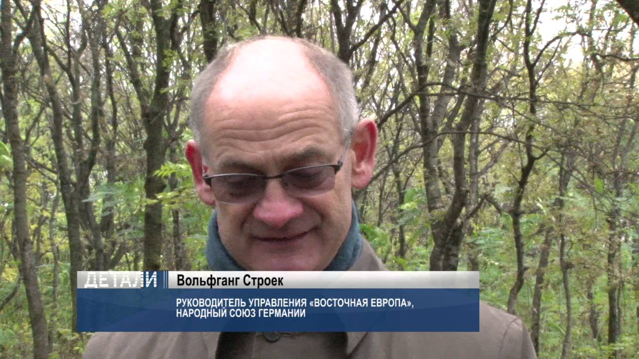 Обнаружены останки немецких солдат