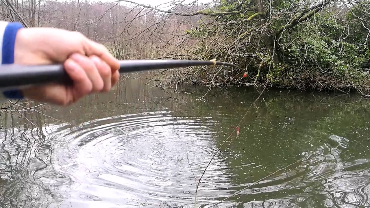 Compil de touche carpe au coup by team spe6men