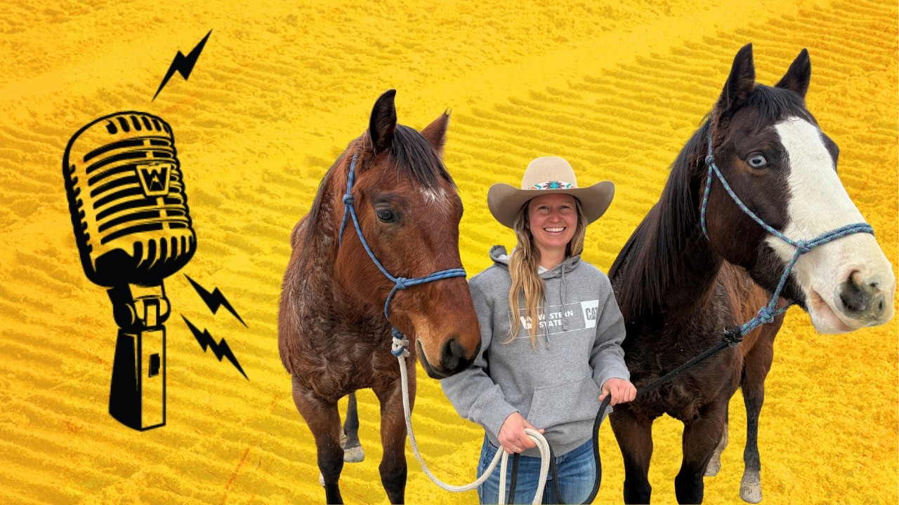 In The Saddle: Tristram Hokenson