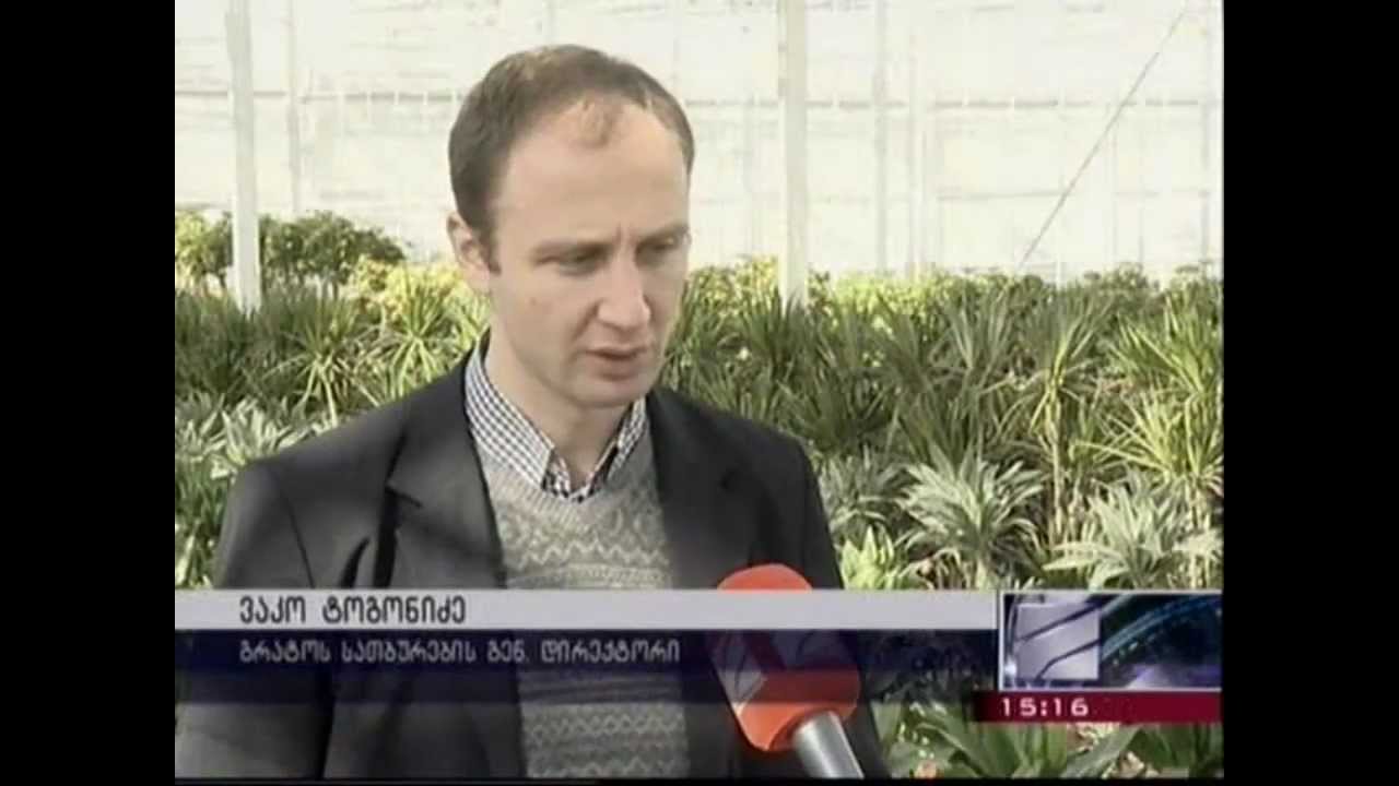 Tbilisi Mayor Gigi Ugulava in Grato Greenhouse
