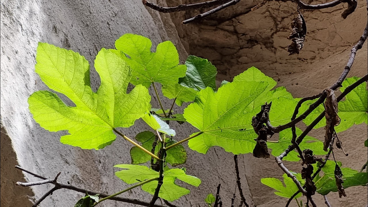 Пещеры Лузит, часть 1