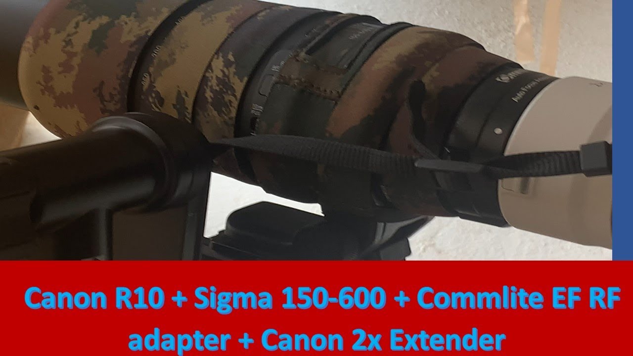 How to Fit Canon RF 2x Extender on Sigma EF 150-600  on Canon R10