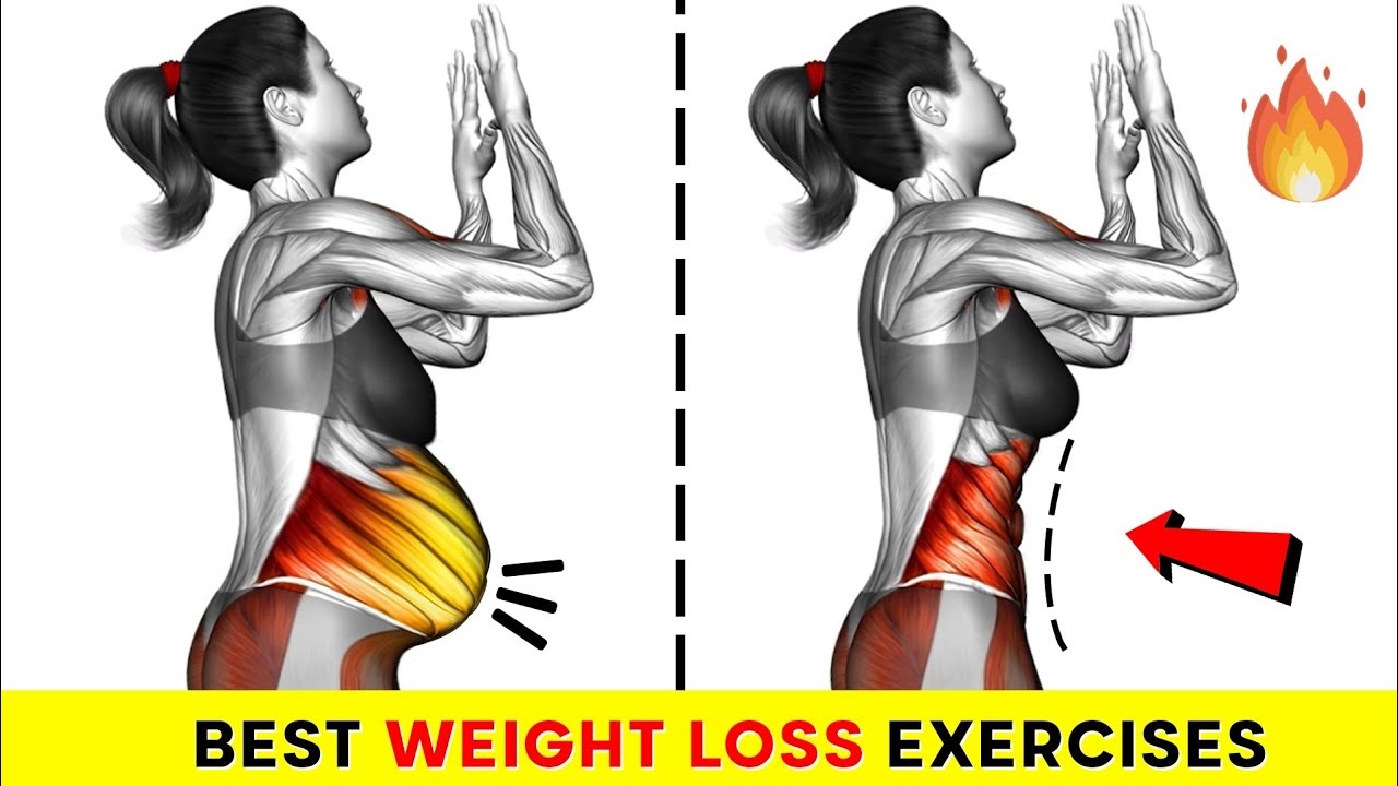 Sculpt Your Dream Abs: 30-Min Standing Cardio Workout for Women - Melt Belly Fat Fast in Just 1 Week