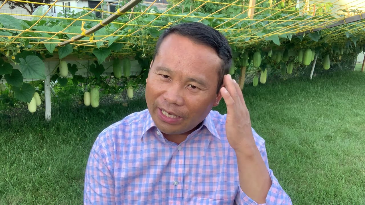 July 29, 2020 nyiaj tswb neej neeg poj niam deev hmoob me ka thiaj nraug tu Txiv