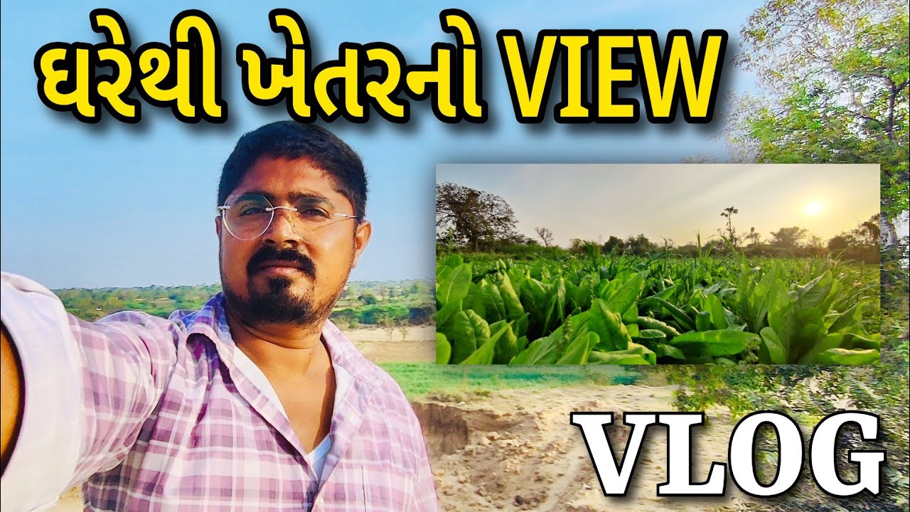 ઘરેથી ખેતરનો view / ચોમાસામાં તો ઘરેથી નદી એકદમ લીલુછમ થઈ જાય છે / ઉનાળુ વાવેતરની સીઝન ચાલુ થઈ ગઈ છે