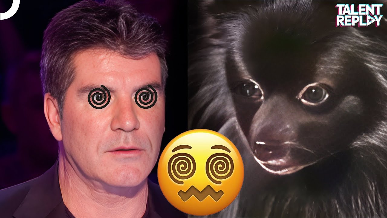 Simon got Hypnotized by a DOG! | Britain's Got Talent